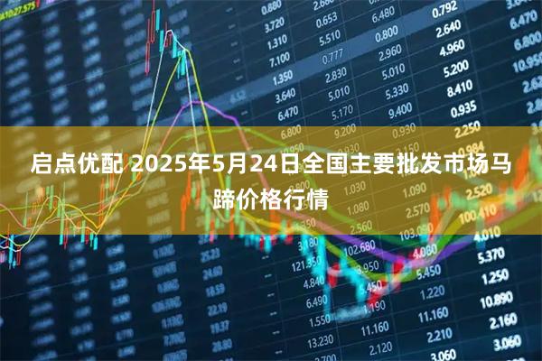 启点优配 2025年5月24日全国主要批发市场马蹄价格行情