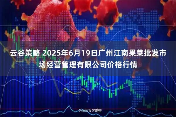 云谷策略 2025年6月19日广州江南果菜批发市场经营管理有限公司价格行情