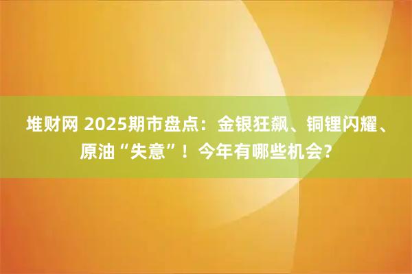 堆财网 2025期市盘点：金银狂飙、铜锂闪耀、原油“失意”！今年有哪些机会？