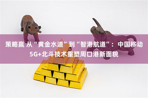 策略赢 从“黄金水道”到“智港航道”:中国移动5G+北斗技术重塑周口港新面貌