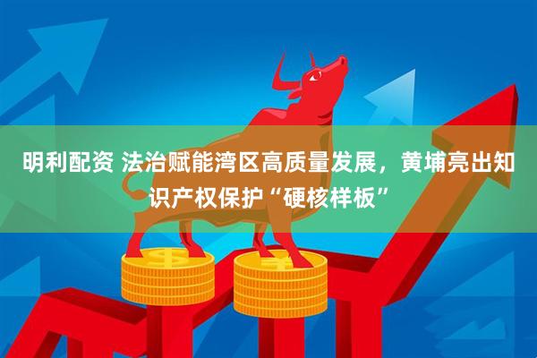 明利配资 法治赋能湾区高质量发展，黄埔亮出知识产权保护“硬核样板”